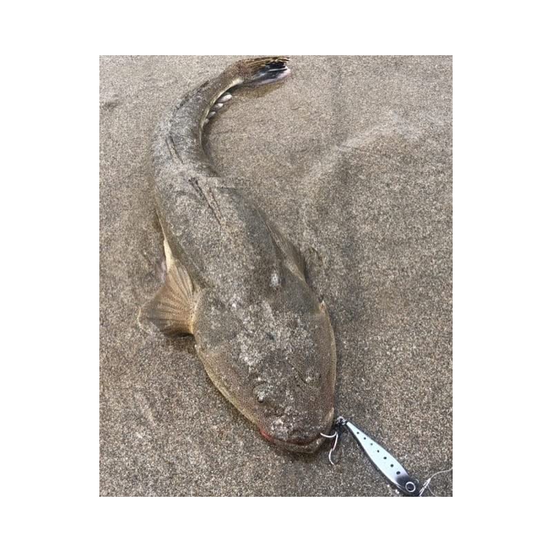 Nature Boys SwichRiderZn Switch Rider Zn40g My Eagle