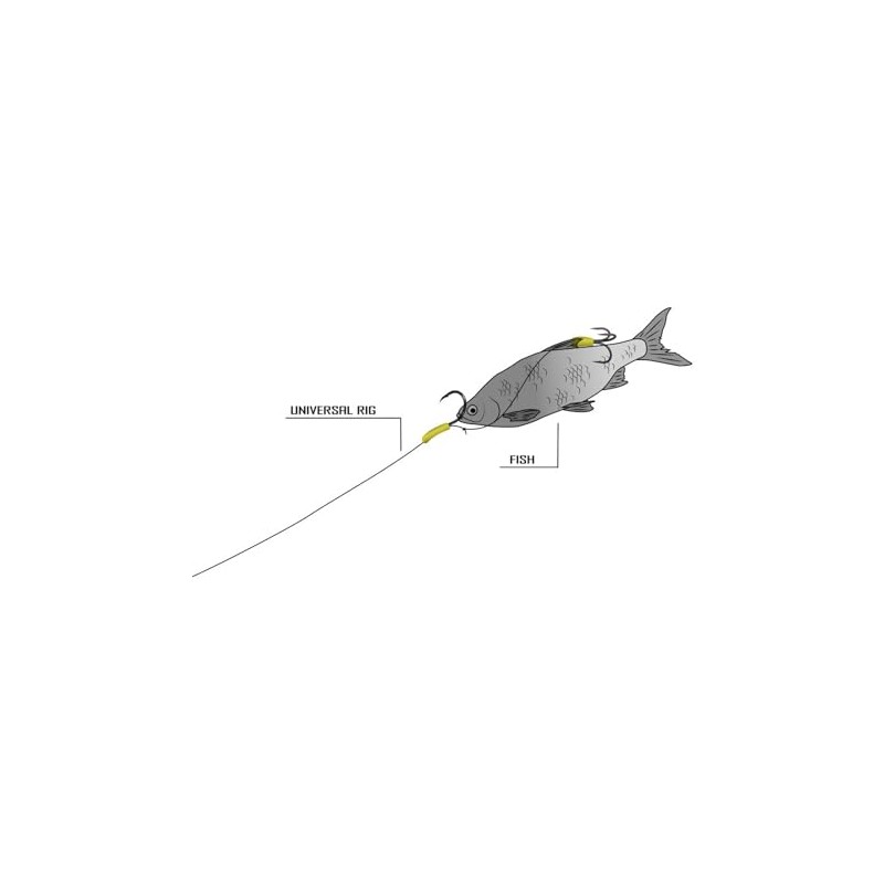 Black Cat Catfish Mounting for Fishing on Catfish Universal Rig