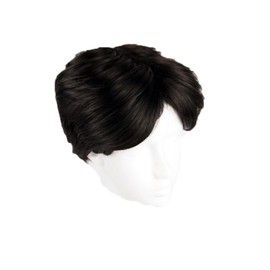 Wig, Men's Short Wig, Full Wig, Natural, Handsome, Medical Wig, Short, Gentleman's, Harajuku, Handsome, Handsome, Hair Removal, Hiding Hair Loss, Korean Style, Breathable, With Net (Black B)