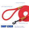 lynxking Dog Leash Slip Lead Snap Hook Rope Leash Strong