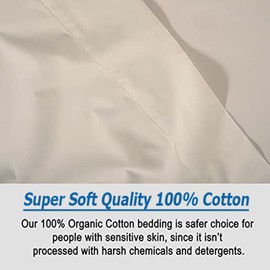 Dazzle Collection®100% Egyptian Cotton Sheet 200 Thread Count Bed Flat Sheet Hotel Quality Bedding Set Soft & Crisp Cotton Caravan Campervan(Cream, Single)