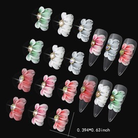 WOKOTO 1 Box 3D Flowers Nail Charms: 12 Pcs, 6 Colors, Simulation & Acrylic Nails Flowers Charms for Nails Decorations Jewels Gems