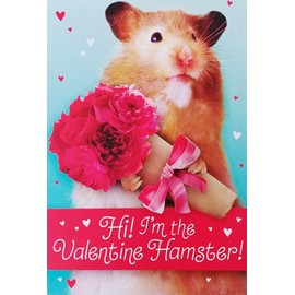 Greeting Card I'm The Valentine Hamster - Cute Happy Valentine's Day