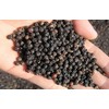 Will and Weaves ORGANIC NATURAL KALI MIRCH BLACK PEPPER 100