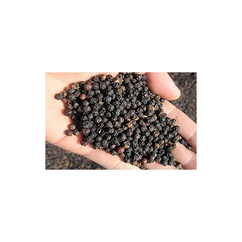 Will and Weaves ORGANIC NATURAL KALI MIRCH BLACK PEPPER 100