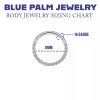 Blue Palm Jewelry 1- 16 GA 5/16" Front Facing CZ
