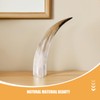RUNROTOO 2Pcs Horn Wall Flower Vase: Natural Cow Horn Decorative