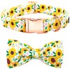 Bobo Rainbow Spring Dog Collar - Sunflower Dog Collar Bows