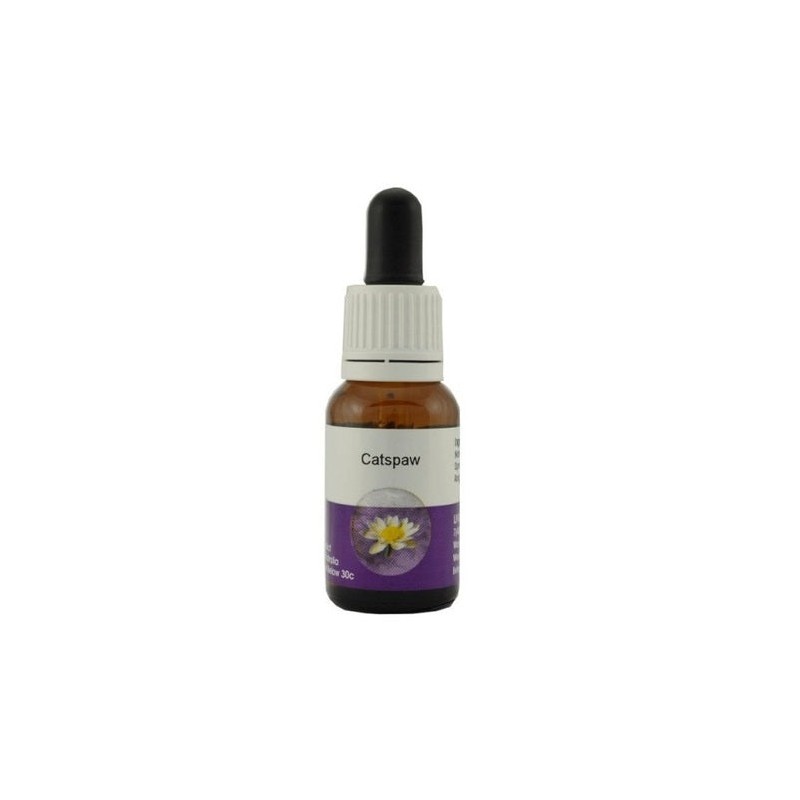 Living Essences Catspaw 15ml