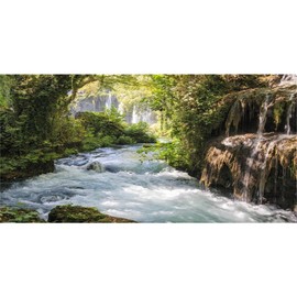 Baocicco 20x10ft Vinyl Green Forest Backdrops for Photography Background Mountain and Water Landscape Beautiful Waterfall and River Ancient Tree Outdoor Explore Holiday Backdrop Photo Studio