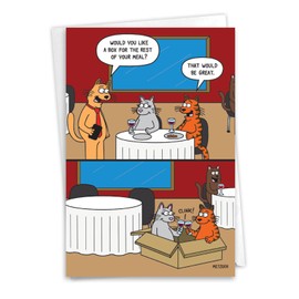 NobleWorks - 1 Funny Birthday Greeting Card w/ 5 x 7 Envelope For Men, Women - Bday Cat Box C7005BDG