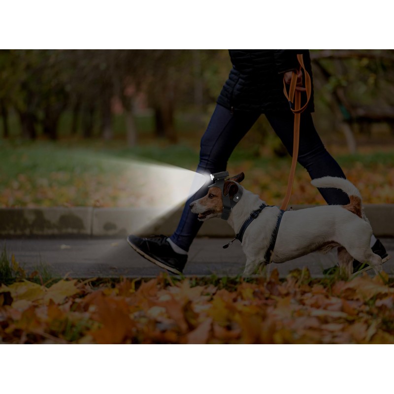 Dog Head Lights for Small and Medium Sized Dogs, 3