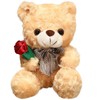 Bear Stuffed Animal Plush Toy for Valentine Day, Cute 9.8"