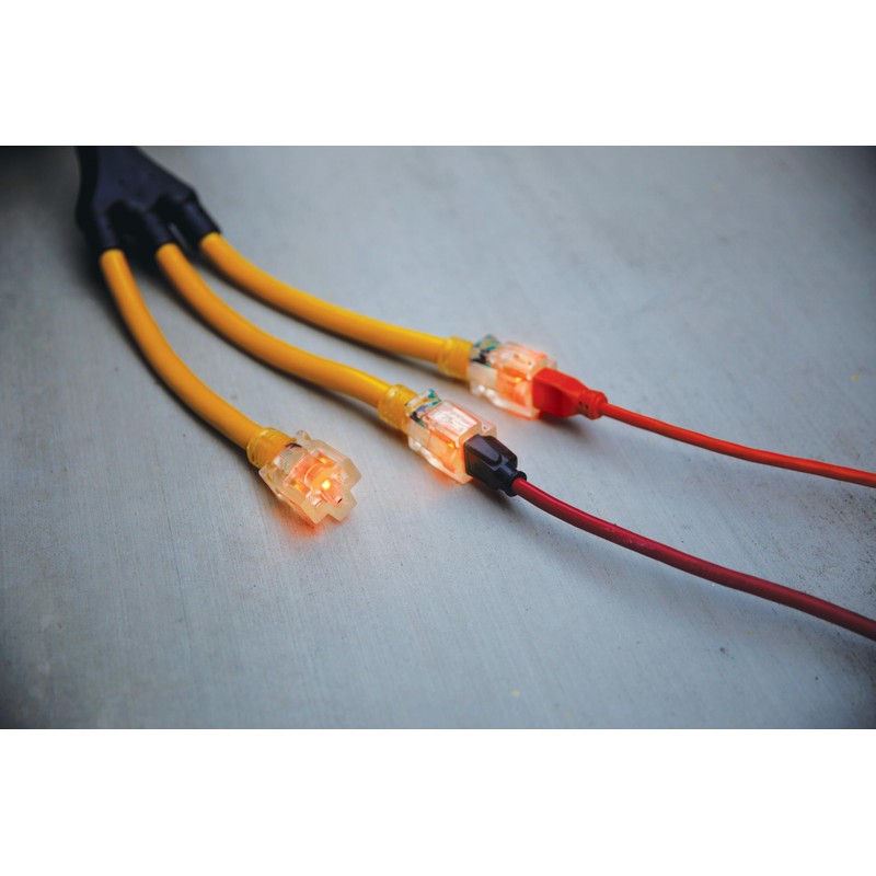 Champion Power Equipment 2 ft. 30A 125V Generator Adapter Cord