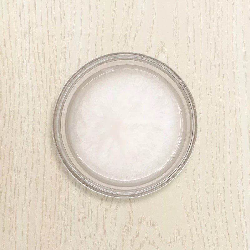 Akcare Shampoo Salon Pro 2 En 1 Aperlado Coco Dulce