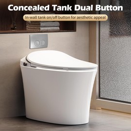 Toilet Flush Release Flush Cistern Button Toilet Replacement Parts for Geberit Delta 21 with 2 Buttons and Mounting Frame and 2 Push Bars (Metal)