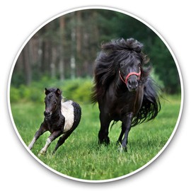 Vinyl Stickers (Set of 2) 20cm - Shetland Pony Foal Horse Kids Girls #24183