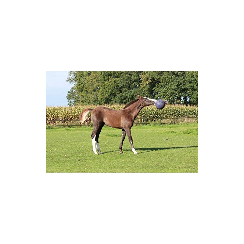 Horsemen's Pride Horsemen's Pride Jolly Ball - Blue, 10 inch