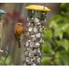 Peckish Daily Goodness Suet Nugget Metal Bird Feeder,Yellow