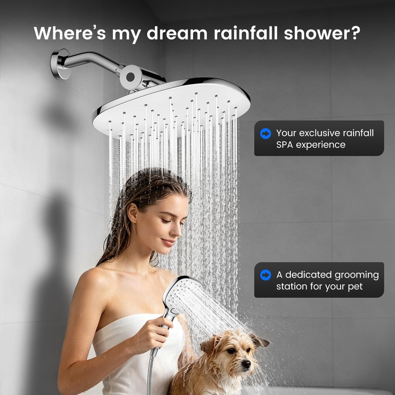 10" Rain Shower Head with Handheld Spray, Dual High Pressure