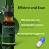 Herbmood Milk Thistle Liver Detox Drops, Cardo Mariano (con Silimarina)