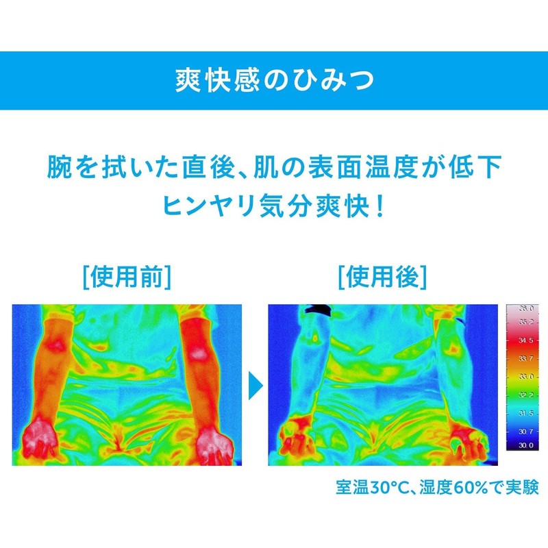 SEABREEZE Face & Body Ice Sheet, Citrus Sherbet x 3