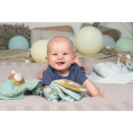 Sterntaler Ben Bear Comforter for 1 Month and Up - Medium 36 x 45 cm