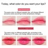 2 Pack Aloe Vera Lipstick, Long Lasting Lip Care Nutritious