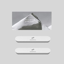 SCENTAG Car Air Freshener - ceramic refill Car Fragrance Deodorizer With Ceramic Diffuser Stone, Aluminum Alloy with Magnetic Top Cover, Air Vent Clip (Zen Tea)