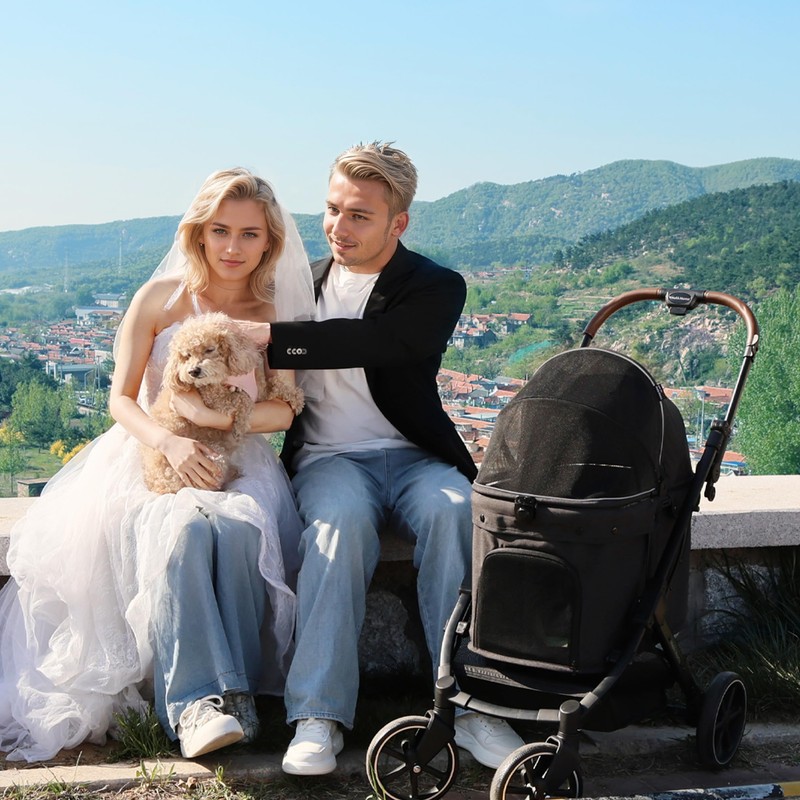 MekkMomo pet Stroller, Suitable for Small and Medium-Sized Dogs, Advanced