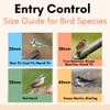 4-Pack British-Made Bird Nest Box Protection Plate Set with 25,