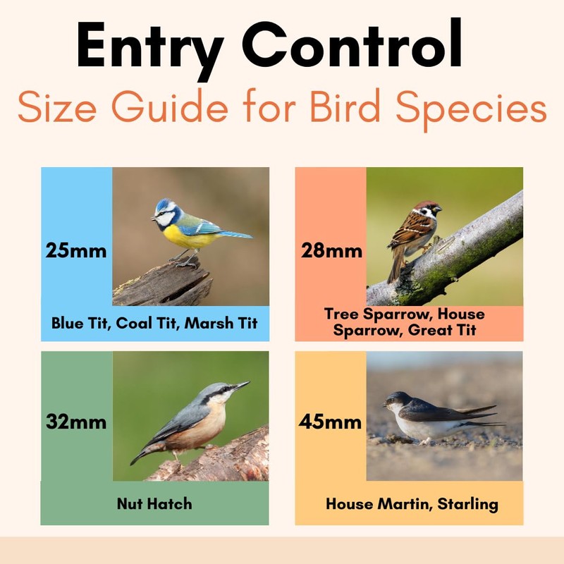 4-Pack British-Made Bird Nest Box Protection Plate Set with 25,