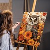 HEIBAGO Owl Paint by Numbers, Flowers Paint by Numbers for