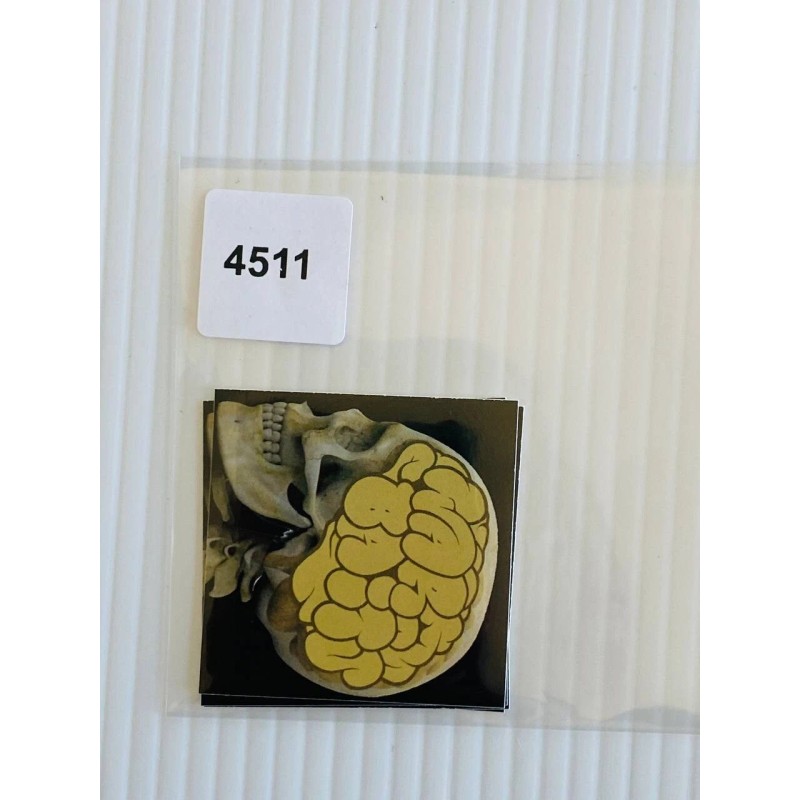 Warbaits Wairbaits Fishing Bait Sticker Brain Skull 2in