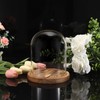 TOLIDA Glass Dome with Natural Wooden Base Robust Decorative Glass