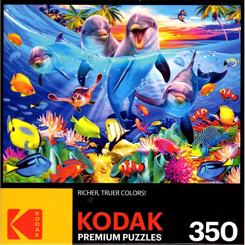Playful Dolphins 350 Piece Puzzle