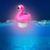 Pink Flamingo Solar Floating Chlorine Tablet Dispenser for Pools, Lights
