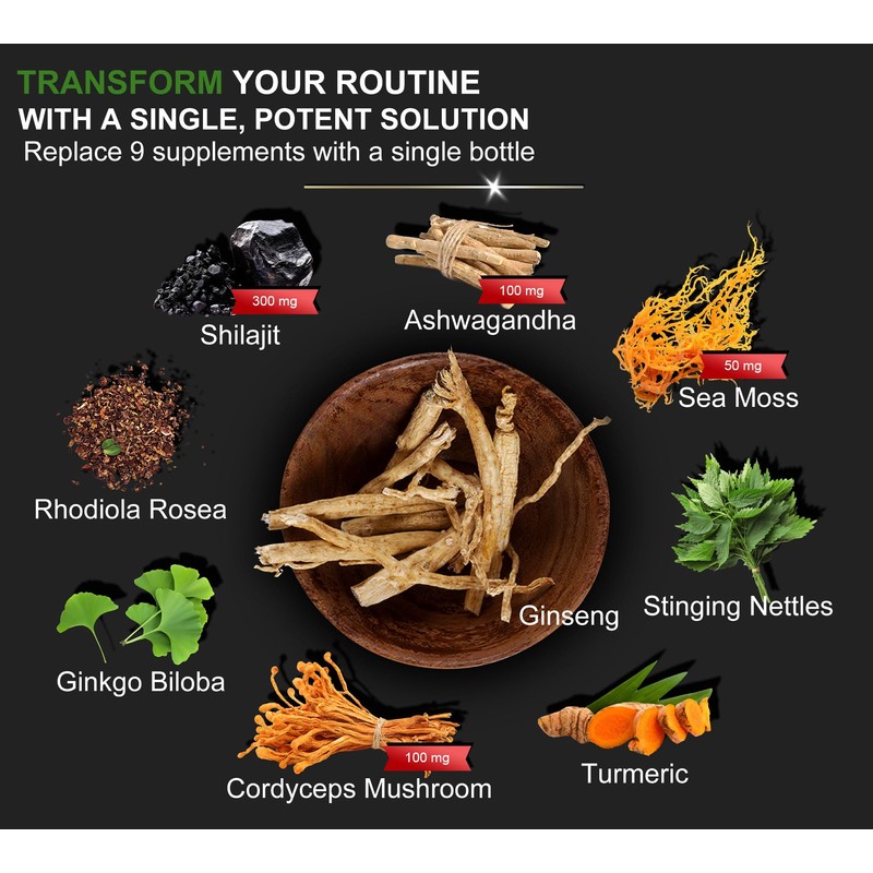 DLNIA Shilajit 9-in-1 Capsules – Organic Himalayan Complex with Ashwagandha,