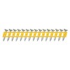 DEWALT ENGINEERED BY POWERS Concrete Nails, 3/4" Length, Steel, Zinc
