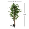 Christopher Knight Home Luke 74''H Pre-Potted Artificial Tree Indoor, Artificial