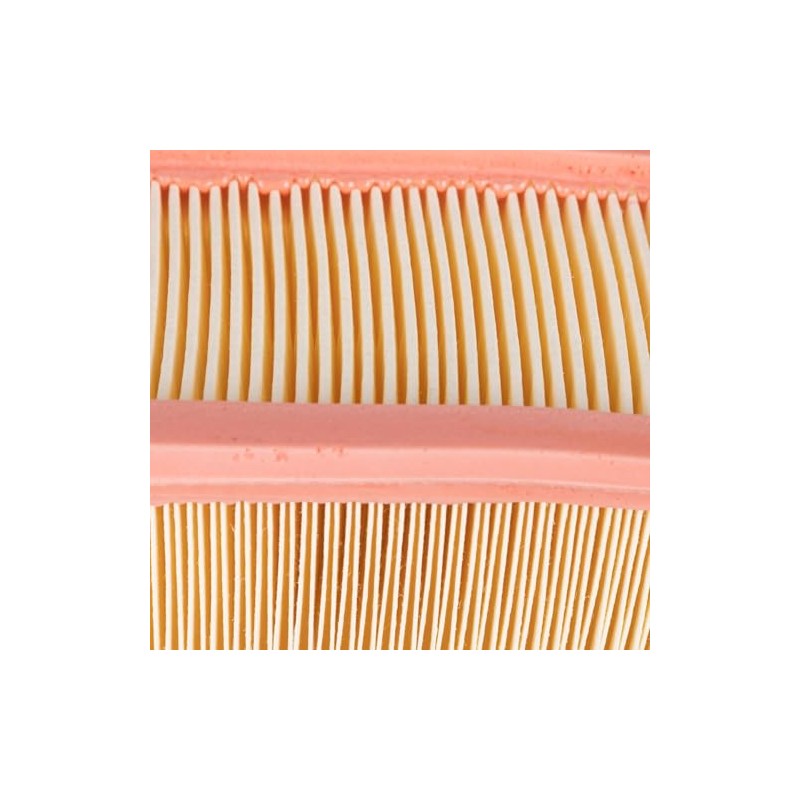 MAHLE LX 1790 - Air Filter Car - Engine