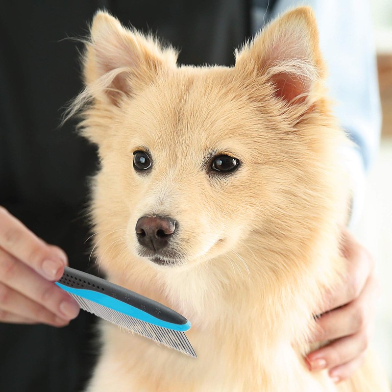 Pets First 2 Pack Dog Comb Small & Large PET