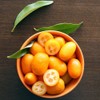 Gardenera's Expert Kumquat Soil Mix - 2 QT - Quick