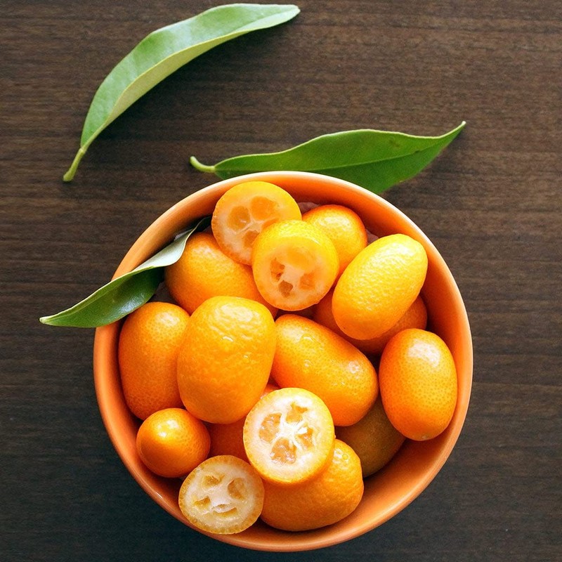 Gardenera's Expert Kumquat Soil Mix - 2 QT - Quick