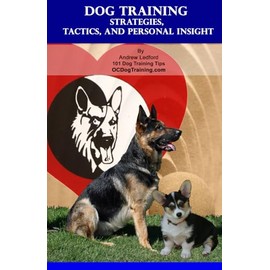 Dog Training Strategies, Tactics, and Personal Insight