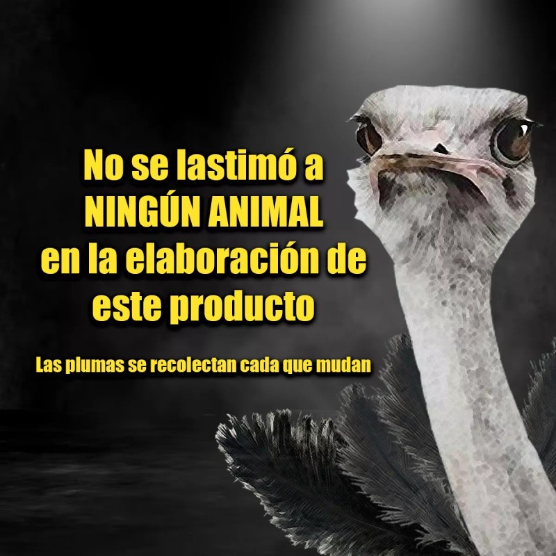 Farvisan 10pack Plumero De Avestruz Retractil Negro