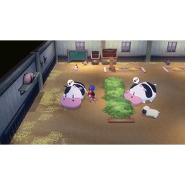 Story of Seasons: Grand Bazaar Limited Edition - Switch