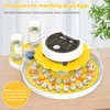 Quail Egg Incubator for Hatching 40 Quail Eggs with Automatic