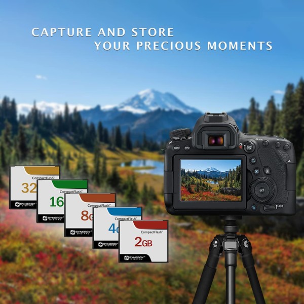 Nikon D300 Digital Camera Memory Card 4GB CompactFlash Memory Card