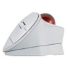 Nakabayashi Digio2 Trackball Mouse, Adjustable Angle Bluetooth 5.0, 5 Buttons,